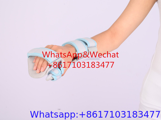 العظام وإعادة التأهيل اليد في الراحة الشق اليد والمعصم التشريح